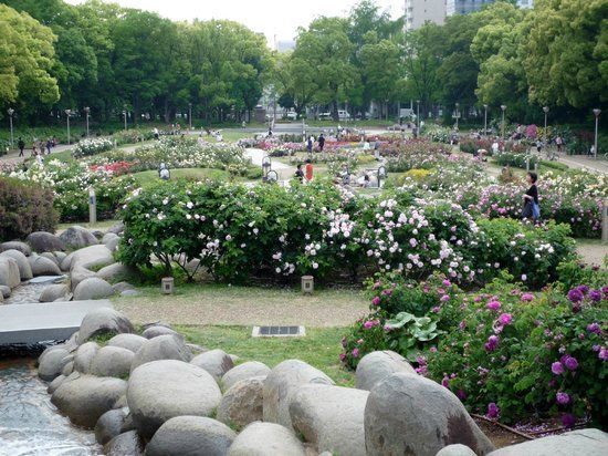 Utsubo-park